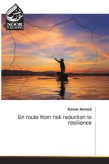 En route from risk reduction to resilience
