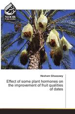 Effect of some plant hormones on the improvement of fruit qualities of dates