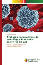 Avaliação da fagocitose de macrófagos infectados pelo vírus da CAE