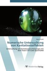 Numerische Untersuchung von Kavitationseffekten