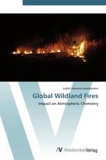 Global Wildland Fires