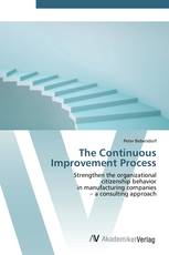 The Continuous Improvement Process