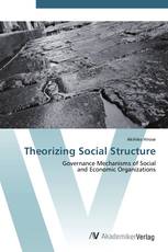 Theorizing Social Structure