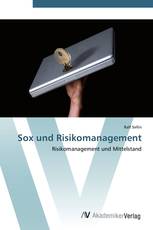 Sox und Risikomanagement