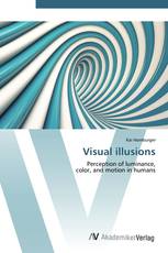 Visual illusions