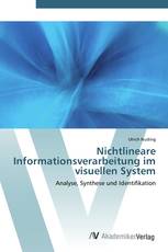 Nichtlineare Informationsverarbeitung im visuellen System