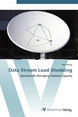 Data Stream Load Shedding