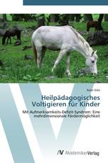 Heilpädagogisches Voltigieren für Kinder