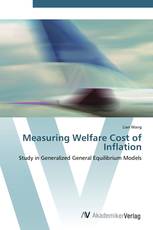 Measuring Welfare Cost of Inflation