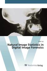 Natural Image Statistics in Digital Image Forensics