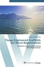 Tissue Engineered Scaffolds for Nerve Regeneration