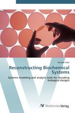 Reconstructing Biochemical Systems