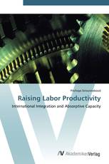 Raising Labor Productivity