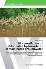 Bioremediation of chlorinated hydrocarbons contaminated groundwater