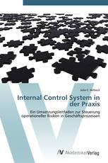 Internal Control System in der Praxis
