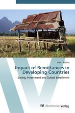 Impact of Remittances in Developing Countries