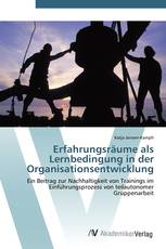 Erfahrungsräume als Lernbedingung in der Organisationsentwicklung