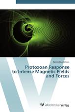 Protozoan Response  to Intense Magnetic Fields  and Forces