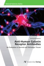 Anti-Human Galanin Receptor Antibodies