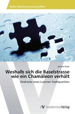 Weshalb sich die Baselstrasse wie ein Chamäleon verhält