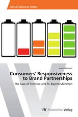Consumers' Responsiveness to Brand Partnerships