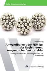 Anwendbarkeit der FEM bei der Registrierung magnetischer Vektorfelder