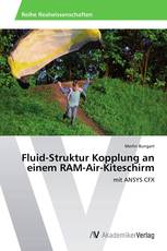 Fluid-Struktur Kopplung an einem RAM-Air-Kiteschirm
