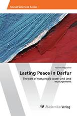 Lasting Peace in Darfur
