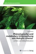 Phänotypische und molekulare Untersuchung von Botrytis cinerea