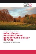 Infección por Pestivirus en el ganado ovino del Sur de Chile