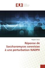 Réponse de Saccharomyces cerevisiae à une perturbation NADPH