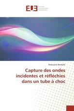 Capture des ondes incidentes et réfléchies dans un tube à choc