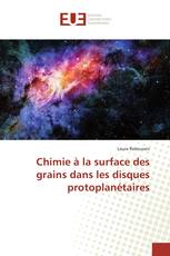 Chimie à la surface des grains dans les disques protoplanétaires