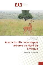 Acacia tortilis de la steppe arborée du Nord de l’Afrique