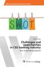 Challenges and opportunities in CEE banking industry