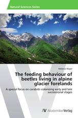 The feeding behaviour of beetles living in alpine glacier forelands