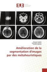 Amélioration de la segmentation d'images par des métaheuristiques