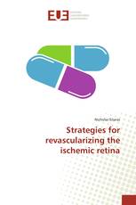 Strategies for revascularizing the ischemic retina