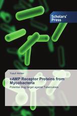 cAMP Receptor Proteins from Mycobacteria