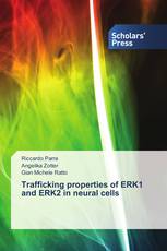 Trafficking properties of ERK1 and ERK2 in neural cells