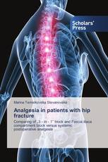 Analgesia in patients with hip fracture