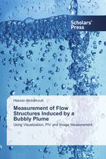 Measurement of Flow Structures Induced by a Bubbly Plume