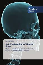 Cell Engineering Of Human Bone