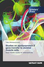 Studies on apolipoprotein E gene transfer to skeletal muscle cells