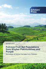 Fulvous Fruit Bat Populations from Khyber Pakhtunkhwa and Punjab