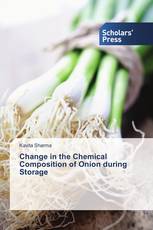 Change in the Chemical Composition of Onion during Storage