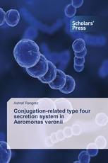 Conjugation-related type four secretion system in Aeromonas veronii