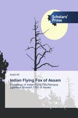 Indian Flying Fox of Assam