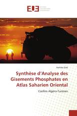 Synthèse d’Analyse des Gisements Phosphates en Atlas Saharien Oriental