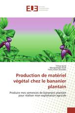 Production de matériel végétal chez le bananier plantain